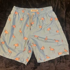 Flamingo Swim Shorts
